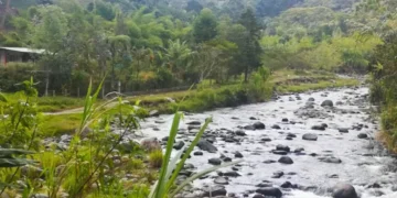 ¡Atención! Medidas para proteger las fuentes hídricas en Salento, Circasia y Filandia