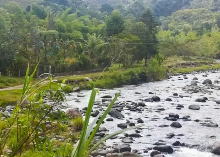 ¡Atención! Medidas para proteger las fuentes hídricas en Salento, Circasia y Filandia