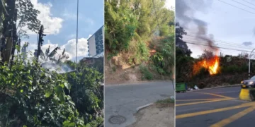 Continúan los incendios forestales en Colombia: más de 13 mil hectáreas afectadas