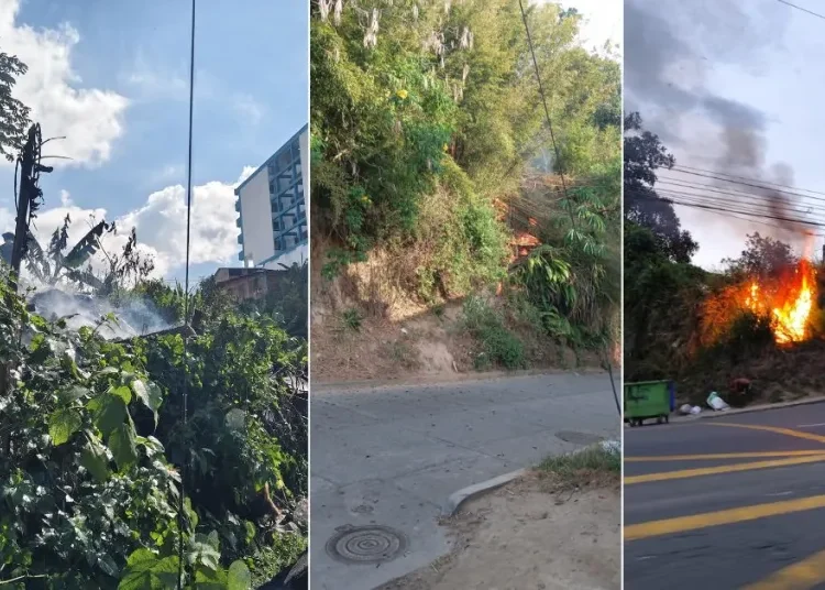 Continúan los incendios forestales en Colombia: más de 13 mil hectáreas afectadas