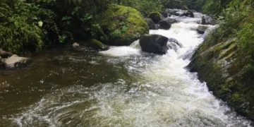 ¡Cuidado! Disminución en caudales de los ríos que abastecen varios municipios