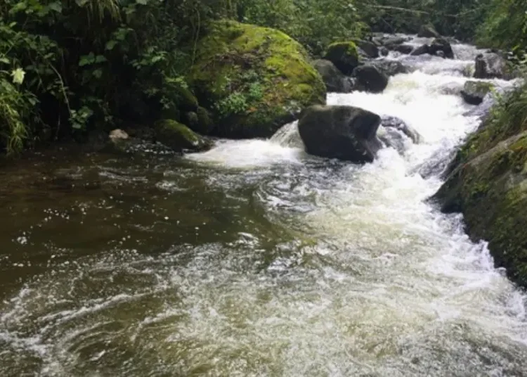 ¡Cuidado! Disminución en caudales de los ríos que abastecen varios municipios