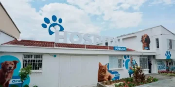 Inauguran primer hospital público veterinario de Colombia: atención gratuita para mascotas vulnerables