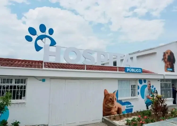 Inauguran primer hospital público veterinario de Colombia: atención gratuita para mascotas vulnerables