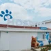 Inauguran primer hospital público veterinario de Colombia: atención gratuita para mascotas vulnerables