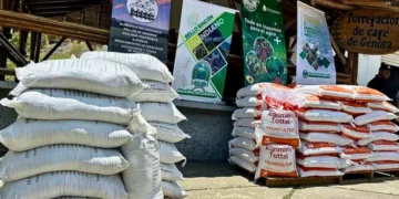 Fortalecen economías campesinas en Génova con apoyo de insumos