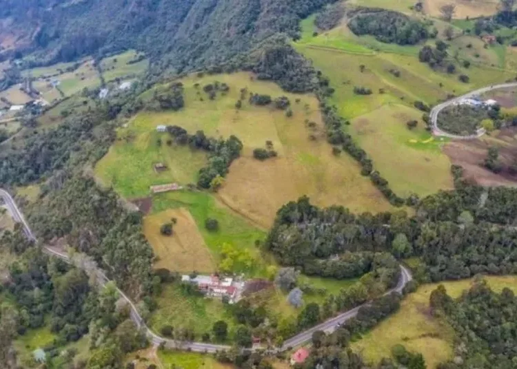 Mejora de la movilidad en Armenia: se presentan propuestas ante el Ministerio de Transporte