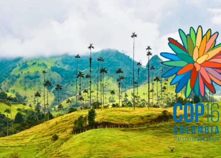 Negocios verdes del Quindío: una apuesta por la biodiversidad en la COP16