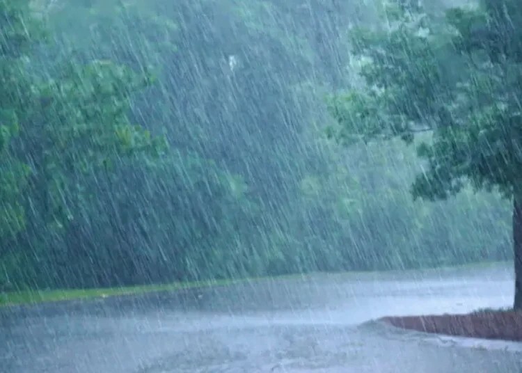 Semana de Receso bajo lluvias: Udegerd pide precaución a residentes y turistas