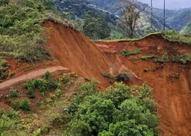 Deslizamiento de 80 metros dejó incomunicados a 8 predios dedicados a la producción lechera y de trucha