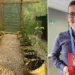 Profesor rural del Quindío gana reconocimiento nacional por innovador Proyecto Educativo