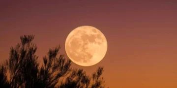Prepárense para observar la última superluna del año: la luna del castor