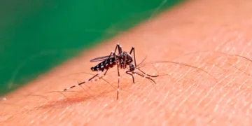 Presentan Plan de Acción para contener el aumento de casos de dengue