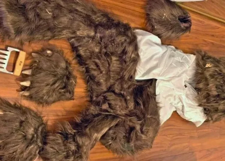 Fraude con auto de lujo: usaron disfraz de oso para engañar a una aseguradora