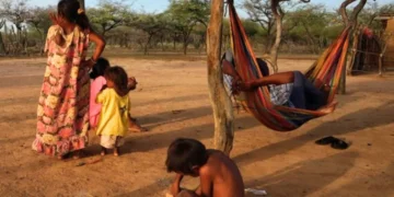 Plan Provisional aprobado: avances en la protección de los derechos de los niños Wayúu