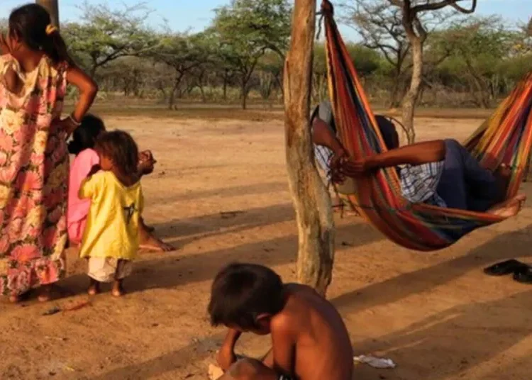 Plan Provisional aprobado: avances en la protección de los derechos de los niños Wayúu