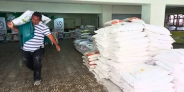 Plátano, cacao, ganadería y café: Quindío prioriza cadenas productivas para impulsar su economía