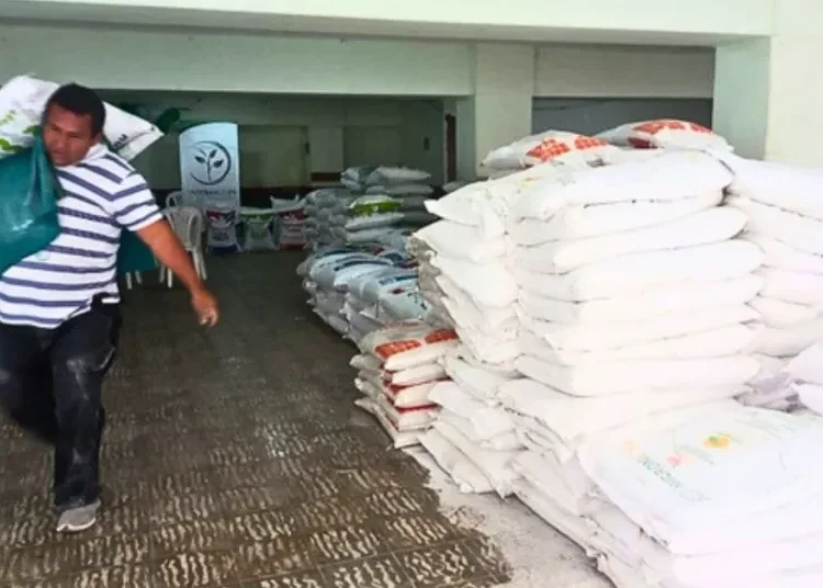 Plátano, cacao, ganadería y café: Quindío prioriza cadenas productivas para impulsar su economía