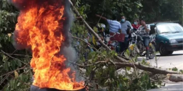 Crisis humanitaria en el Catatumbo: Enfrentamientos entre ELN y disidencias de las Farc dejan más de 80 muertos y miles de desplazados