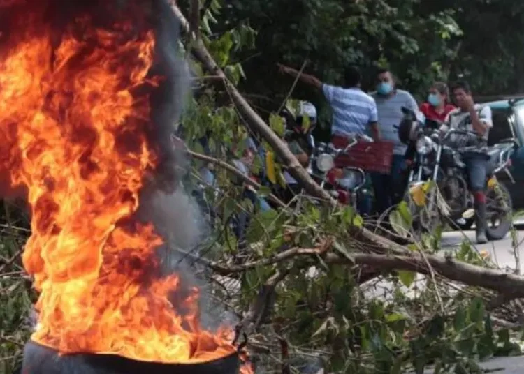 Crisis humanitaria en el Catatumbo: Enfrentamientos entre ELN y disidencias de las Farc dejan más de 80 muertos y miles de desplazados
