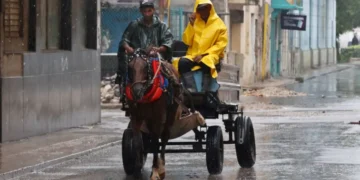 ¡No más dolor! Barranquilla dice adiós a los vehículos de tracción animal