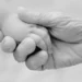 Niño de dos años murió asfixiado luego de que a su abuela le diera un infarto y cayera sobre él