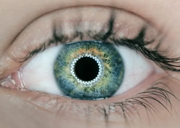 ¿Revolución o riesgo? El polémico intercambio de escaneo ocular por criptomonedas