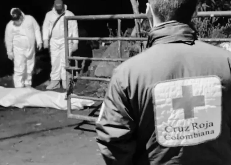 Joven montañista falleció durante expedición de fin de año en el Parque Nacional Los Nevados