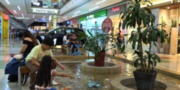 Unicentro Armenia se transforma en un espacio ecológico y anuncia su ampliación