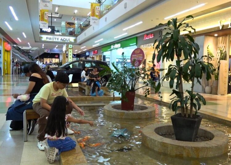 Unicentro Armenia se transforma en un espacio ecológico y anuncia su ampliación