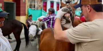 ¡No más vehículos de tracción animal! Circasia da un paso hacia la movilidad responsable
