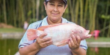 Tilapia, trucha y cachama pescados más consumidos en Semana Santa