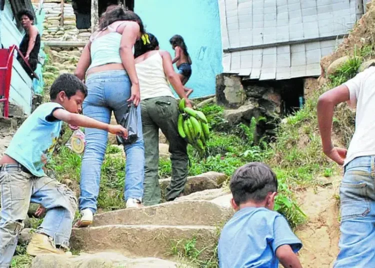 Inseguridad alimentaria afecta a 14,4 millones de personas en Colombia