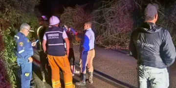 Tras emergencia vial, intensifican intervención técnica en el Alto de las Piñas para prevenir tragedias