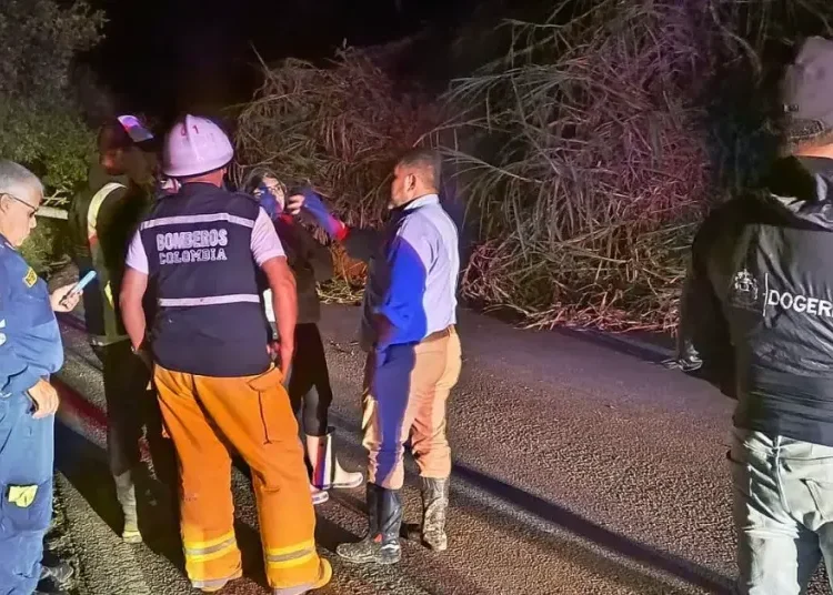 Tras emergencia vial, intensifican intervención técnica en el Alto de las Piñas para prevenir tragedias