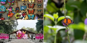 ¡Calarcá se viste de alas! La ‘Capital Mundial de las Mariposas’ se lanza desde el corazón del Quindío