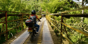 AVANCE INFORMATIVO GOBIERNO DEL QUINDÍO