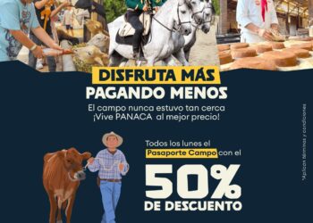 PANACA