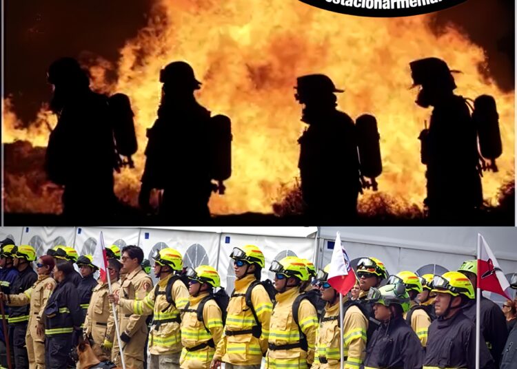🔥 ¡Feliz Día Nacional del Bombero Colombiano! 🇨🇴👩‍🚒👨‍🚒