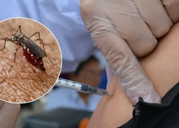 Ministerio de Salud activa refuerzo de vacuna contra la fiebre amarilla por alto riesgo epidemiológico