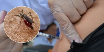 Ministerio de Salud activa refuerzo de vacuna contra la fiebre amarilla por alto riesgo epidemiológico