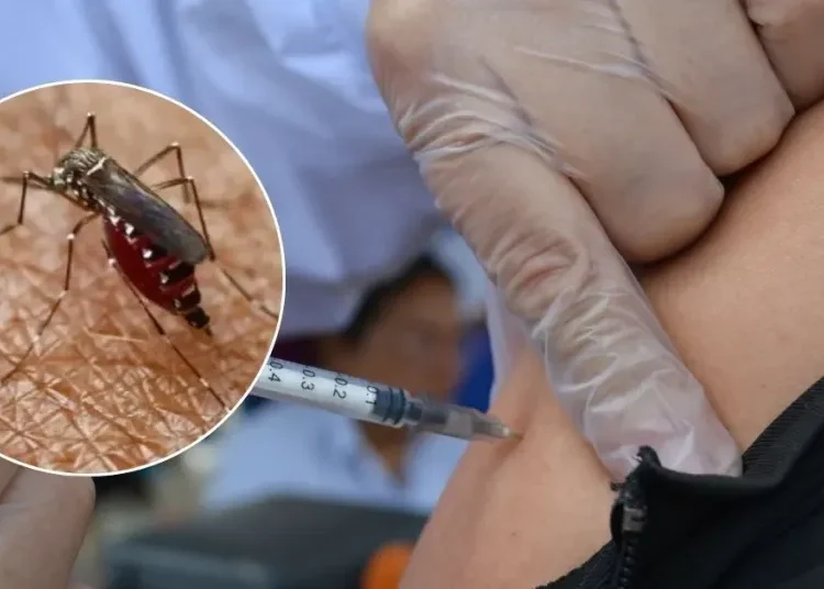 Ministerio de Salud activa refuerzo de vacuna contra la fiebre amarilla por alto riesgo epidemiológico